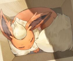 flareon from pokemon