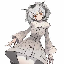 northern white-faced owl (kemono friends) from kemono friends