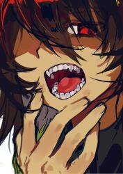 kris (deltarune) from deltarune