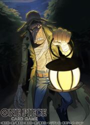 one piece fan art
