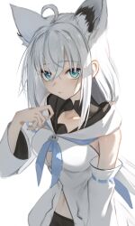 shirakami fubuki from hololive