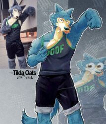 legoshi from beastars