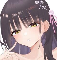 shiki natsume from cafe stella to shinigami no chou