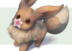 eevee from pokemon