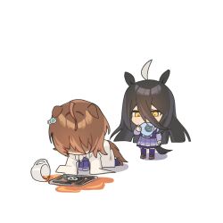 agnes tachyon (tach-nology) (umamusume) from umamusume