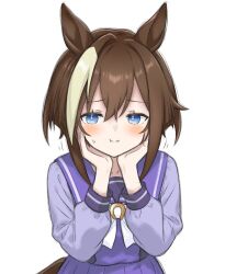 cheval grand (umamusume) from umamusume