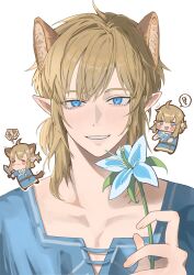 link from the legend of zelda