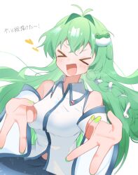 kochiya sanae from touhou by loveplum0510