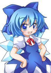 cirno from touhou by shinjitsu