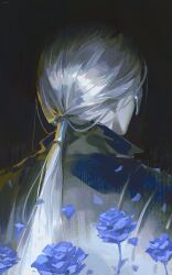 duchess (elden ring) from elden ring