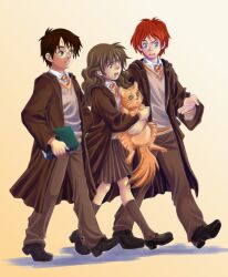 crookshanks from harry potter (series)