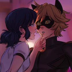 chat noir from miraculous ladybug by ceejles