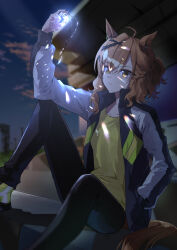 jungle pocket (umamusume) from umamusume