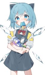 cirno from touhou