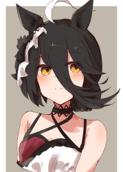 manhattan cafe (umamusume) from umamusume