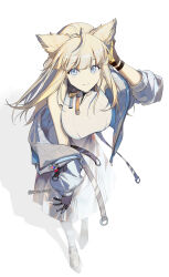 perlica (arknights) from arknights
