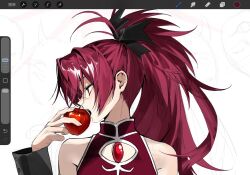 sakura kyoko from mahou shoujo madoka magica
