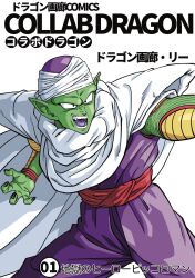 piccolo from dragon ball by lee (dragon garou)