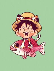 monkey d. luffy from one piece