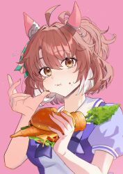 dantsu flame (umamusume) from umamusume