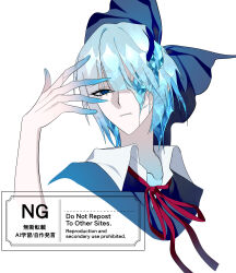 cirno from touhou by nubezon