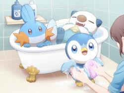 mudkip from pokemon by monaka (hc pkmn)