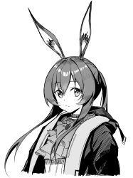 amiya (arknights) from arknights