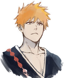 kurosaki ichigo from bleach