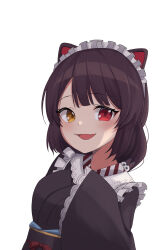 inui toko from nijisanji