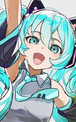hatsune miku from vocaloid