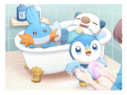 mudkip from pokemon by monaka (hc pkmn)
