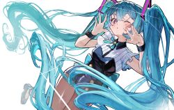 hatsune miku from vocaloid