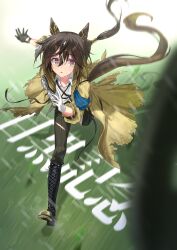 stay gold (sunlit outsider) (umamusume) from umamusume