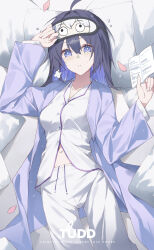 seele vollerei from honkai (series)