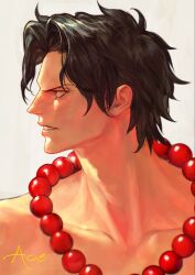 portgas d. ace from one piece