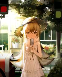 oshino shinobu from bakemonogatari