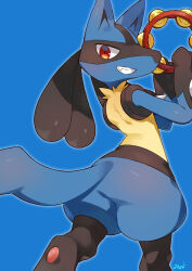 lucario from pokemon