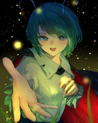 wriggle nightbug from touhou