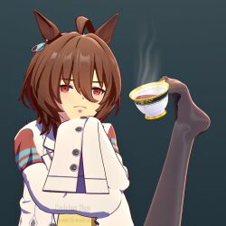 agnes tachyon (tach-nology) (umamusume) from umamusume