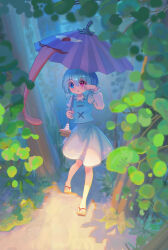 tatara kogasa from touhou