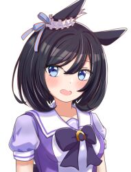 eishin flash (umamusume) from umamusume by tofu thunder