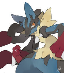 lucario from pokemon