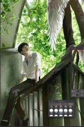ikari shinji from neon genesis evangelion
