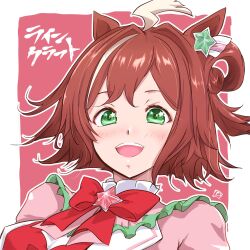 rhein kraft (umamusume) from umamusume