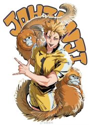haikyuu!! fan art