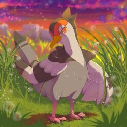tranquill from pokemon