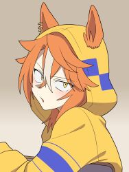 umamusume fan art
