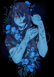 kris (dark world) (deltarune) from deltarune
