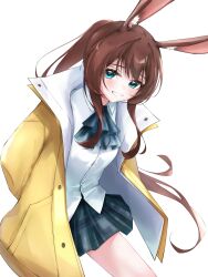 amiya (arknights) from arknights
