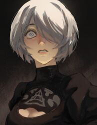 2b (nier:automata) from nier:automata by hexlaze